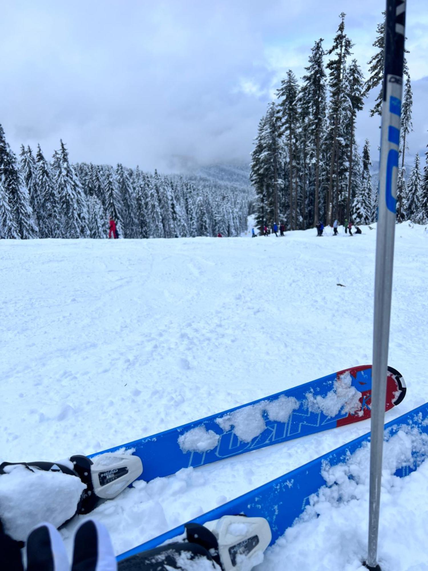 Dimitri Apartament Emerald , Near Gondola Bansko Eksteriør billede
