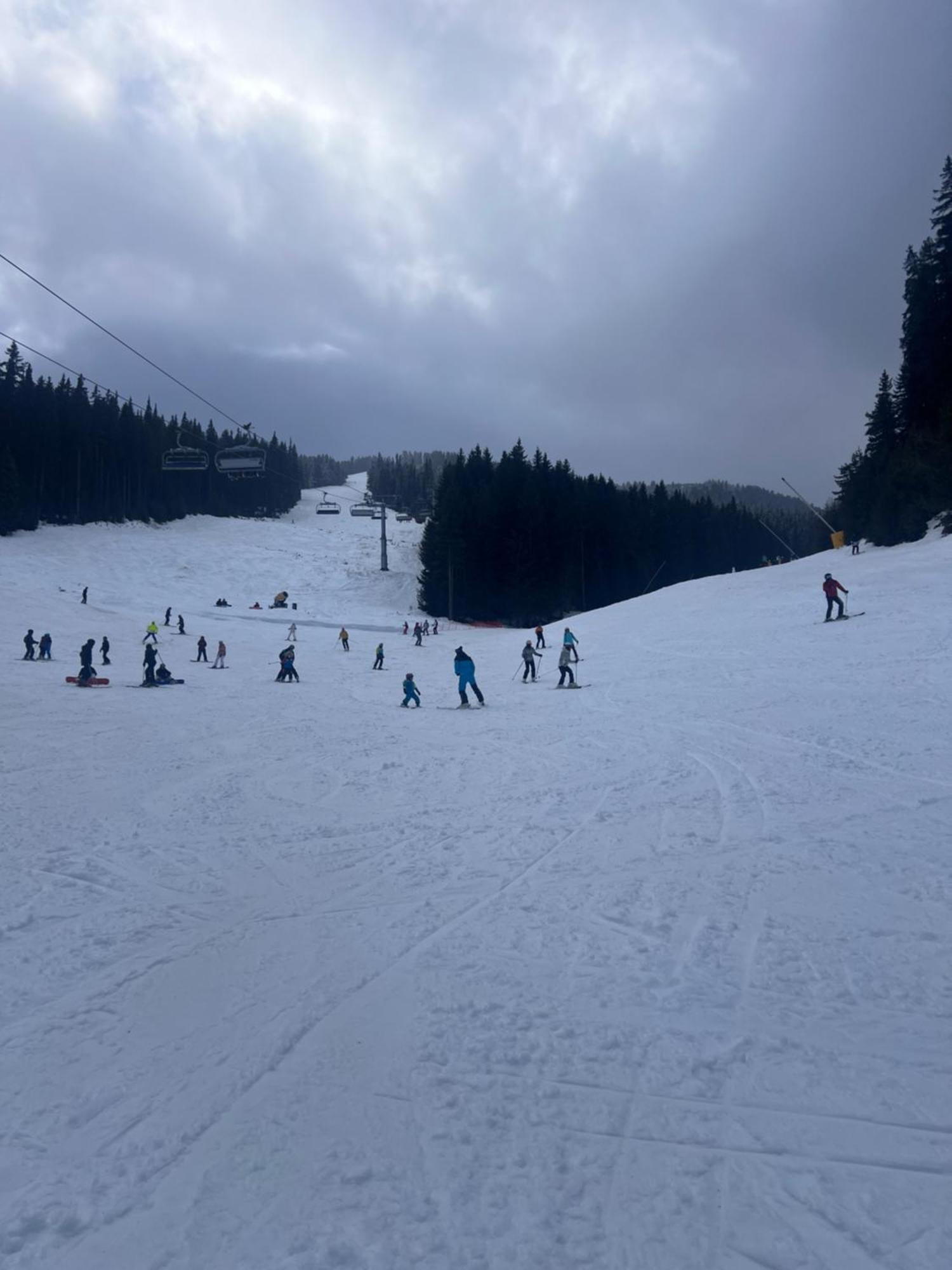 Dimitri Apartament Emerald , Near Gondola Bansko Eksteriør billede